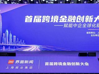 【优惠套餐】veoaifree会员账号购买最划算的方法
